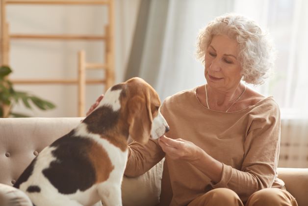 Unlocking Home Equity With Reverse Mortgage Palm Springs: The Solution To Your Pet’s Medical Expenses